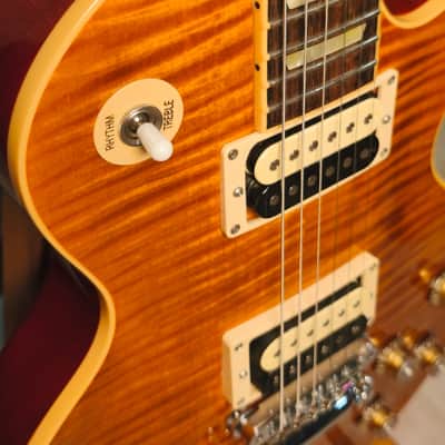 Gibson Les Paul Standard Appetite For Destruction Limited Edition 2010 - AFD image 8