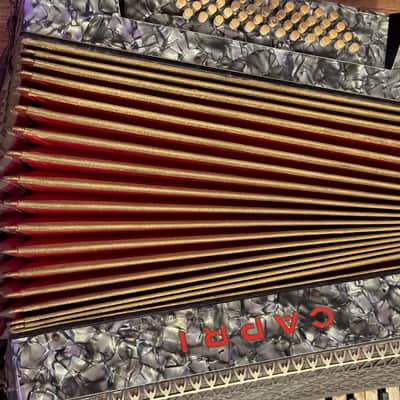 Capri Vintage Piano Accordion Project image 7