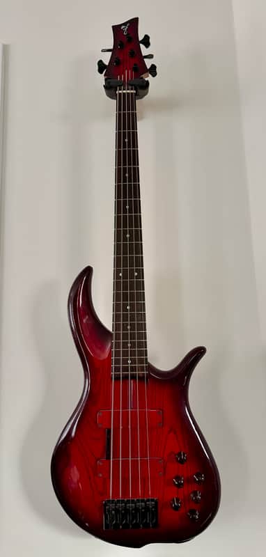 F Bass BN5 | Reverb