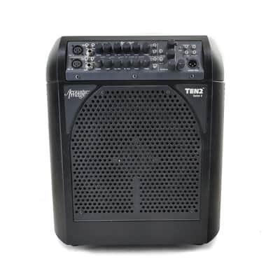 Acoustic Image Ten2 S4 631AA Double Bass Amp with Mooradian Bag image 2