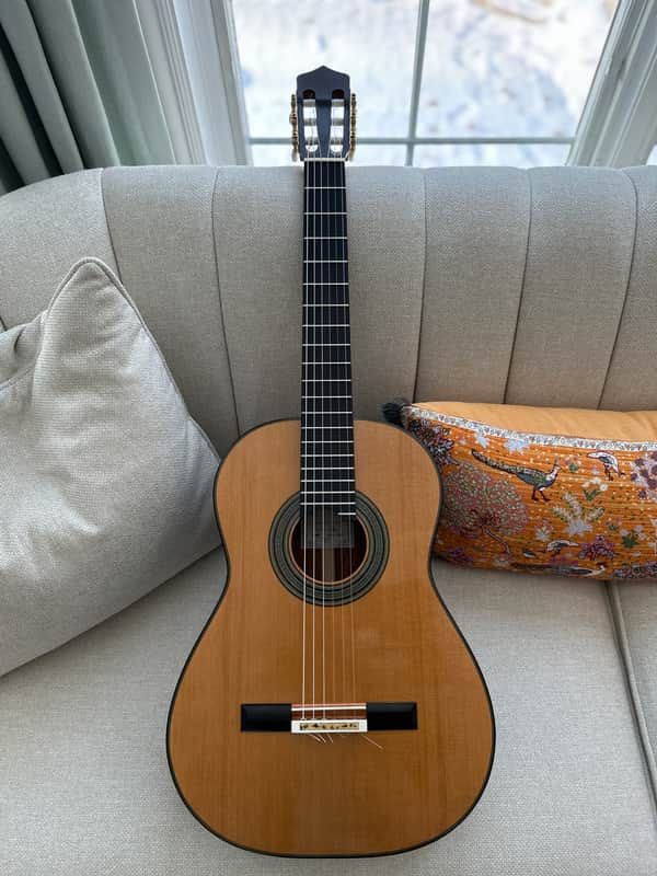 2025 Jialan Chen Coclea Cedro image 1