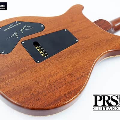 2010 PRS Wood Library DGT DGT 2010 - Copperhead 1 Piece Top image 24