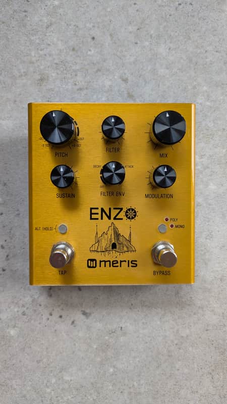 Meris Enzo 2018 Gold image 1