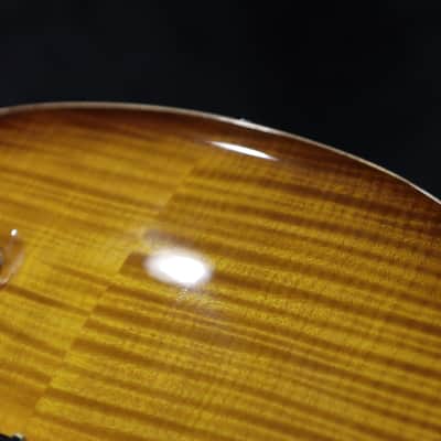PRS DGT Semi-Hollow Limited Edition McCarty Sunburst Electric Guitar w/Case image 14