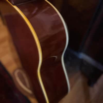Gibson J-50 1953 - natural image 6