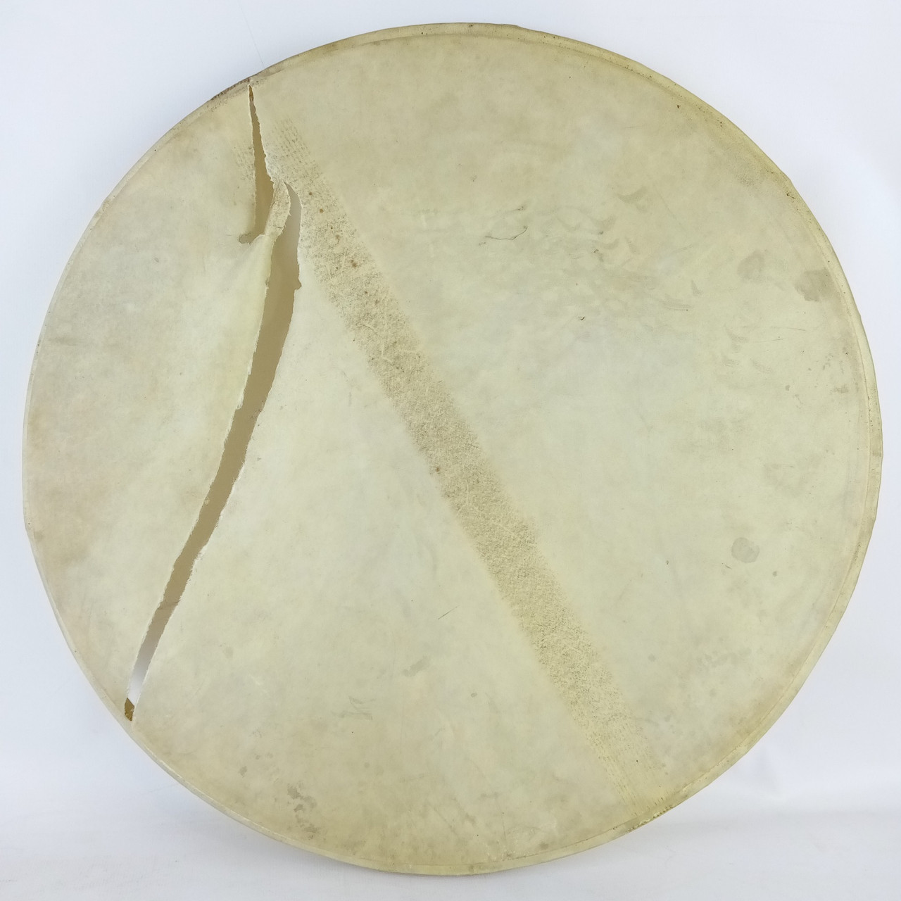 Leedy 15"Calf Skin Snare Drum Resonant Head USA Vintage 10s Indianapolis Retuck — main photograph