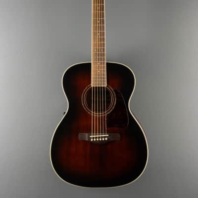 Ibanez Artwood Series AC300E, '12 image 3