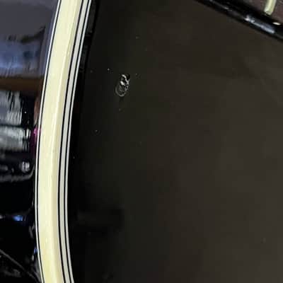 Washburn AB-20 image 6