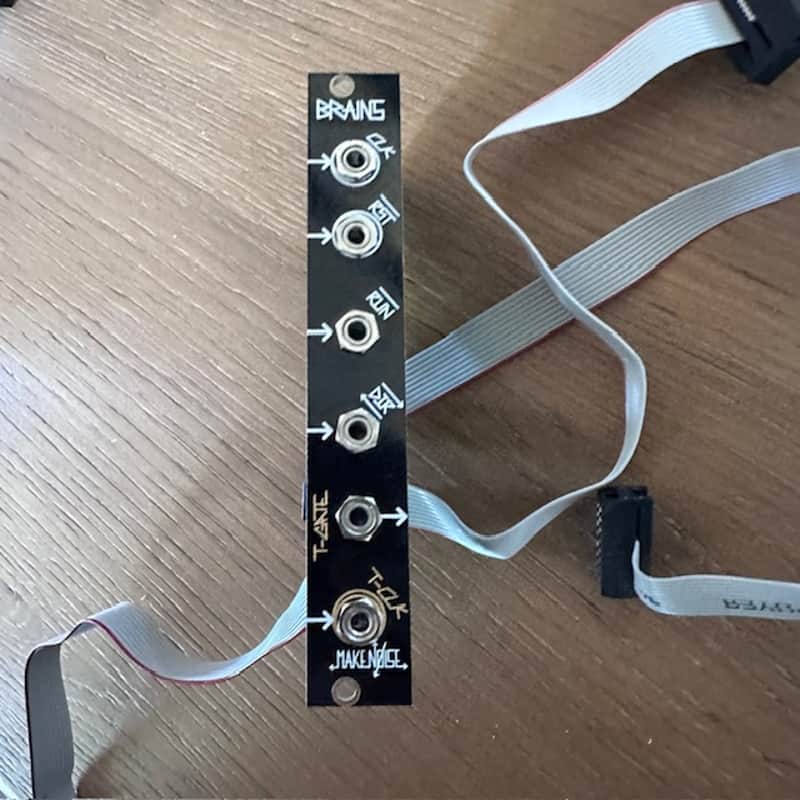 Make Noise Brains Sn# 102 Module black and gold eurorack image 1