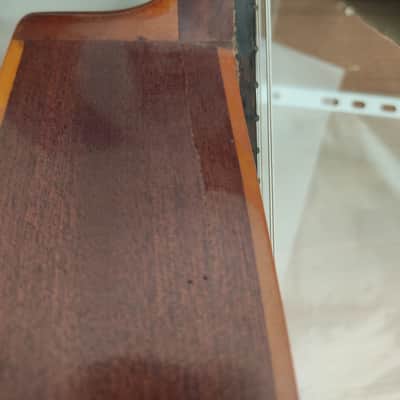 Mandolino Prudenzio Saez image 7