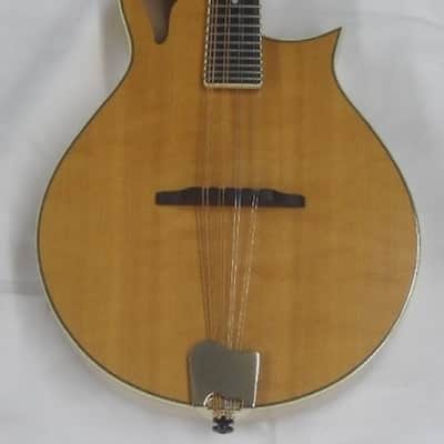 Tacoma M3 Mandolin with hard shell case image 2