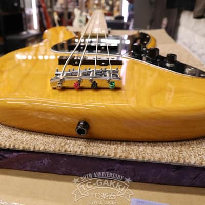 Fujigen(FGN) 2009 NCJB-10 image 15