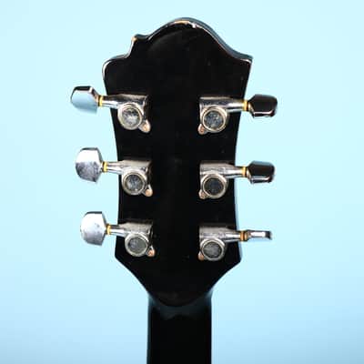 B.C. Rich BW-3000 Grey Burst Acoustic Guitar imagen 4