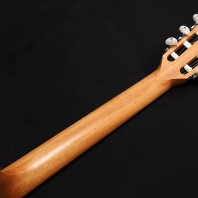 Taylor 214ce-N Nylon Acoustic-electric Guitar - Natural 499 image 6