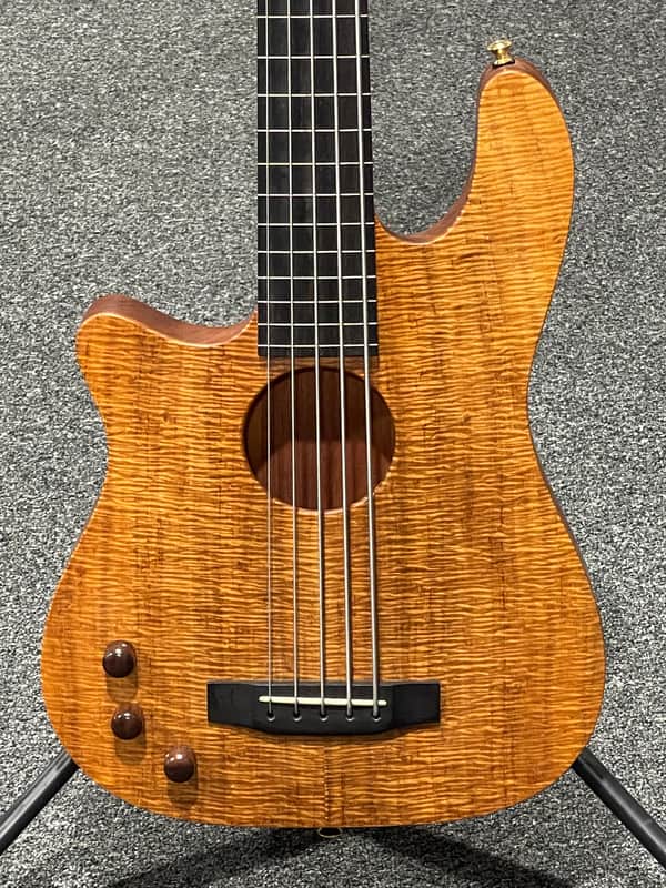Carvin AC50L Custom USA Left Handed Fretless Acoustic Electric 5-string Bass image 1