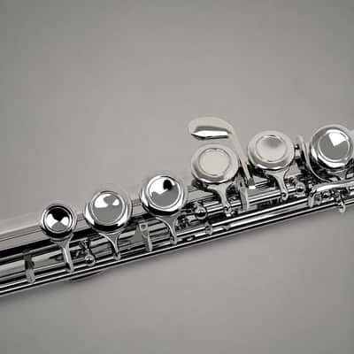 Professional C Key 16 Closed Hole Concert Flute for Students & Beginners – Nickel Plated Transverse Flute with Carrying Case, Cleaning Kit, Gloves & Back-to-School Accessories image 2