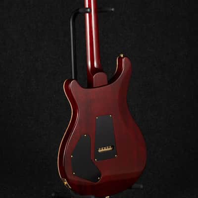 Paul Reed Smith DGT 10-Top Birds - Dark Cherry Burst image 8