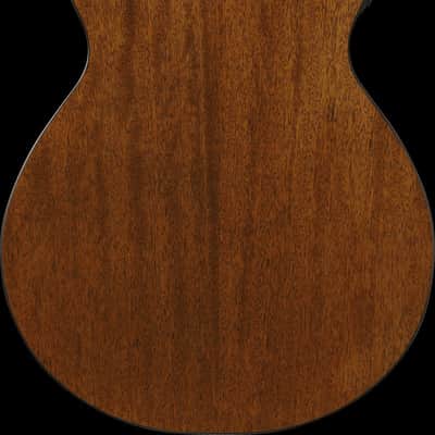 Ibanez AEG50N-NT AEG Nylon String Guitar 6-String - Natural image 13