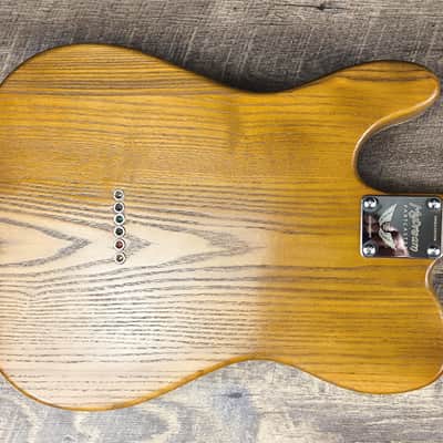 MyDream Partcaster Custom Built - Thinline Lake Placid Dreamsongs image 3