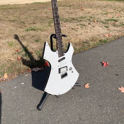 Custom R L James Guitar Custom Animal 2026 - Custom image 17