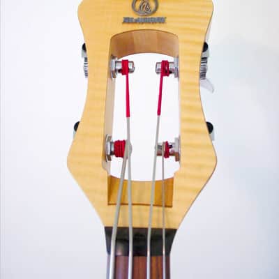 Alembic Classico image 2