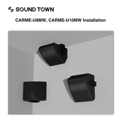 CARME-U10MW | CARME Series 10" Coaxial Passive 2-way Professional PA DJ Stage Monitor Speaker, White with U Mounting Bracket, for Surface-Mount, Installation, Live Sound, Bar, Church image 9