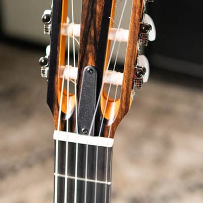 Taylor 214ce-N Nylon Grand Auditorium Acoustic/Electric Guitar with Gig Bag image 5