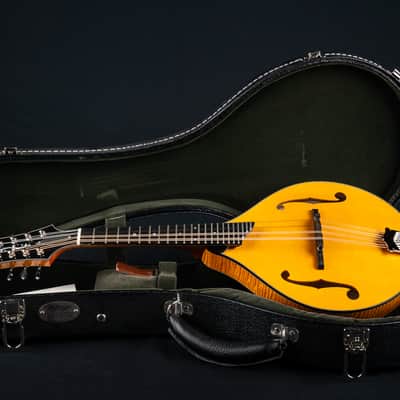 Collings MT2 Honey Amber Adirondack Spruce and Flamed Maple Mandolin NEW image 22