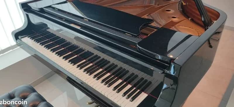 Steinway & Sons grand piano a queue de concert model Model D-274 n°447110 1976 image 1