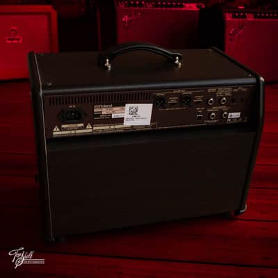 Boss Acoustic Singer Pro 120w 1x8" Stage Amp 2021 image 3