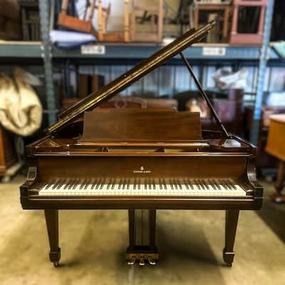 Steinway & Sons Model M Grand Piano – Golden Age image 2