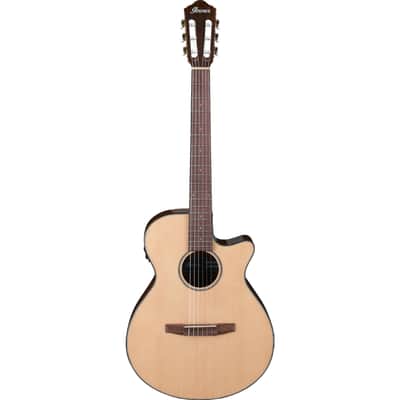 Ibanez AEG50N NT Nylon String - 4/4 classical guitar image 1