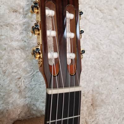 Takamine No.5 in 1994 image 18