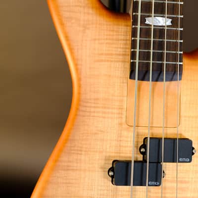 Spector Euro Series LX 2024 - Natural Sunburst image 4