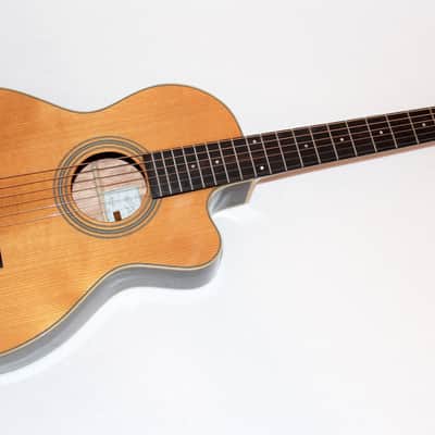 Recording King RP1-16C Torrefied Red Spruce Top 12-Fret Single-0