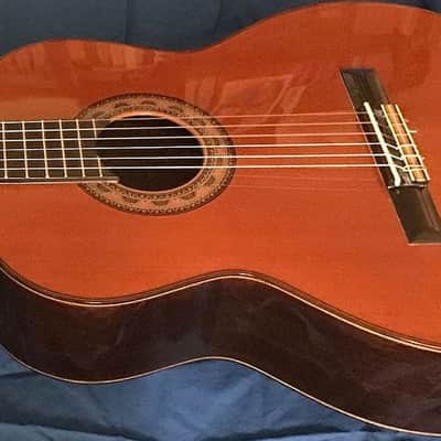 Juan Estruch 1981 Model 1 "Chet Atkins" Signed Yellow Label, Concert Classical Guitar image 1
