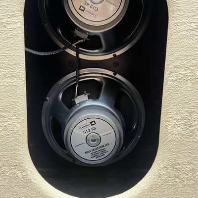 Two Rock TS 1 100 Watt Head and 2x12 Vertical Cabinet - Blonde & Oxblood! image 11