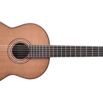 Classical Guitar Manuel Rodriguez Manuel JR Hand Made! Concert Instrument. image 6