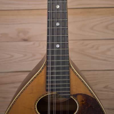 Regal Mandolin 1920s - Natural image 7
