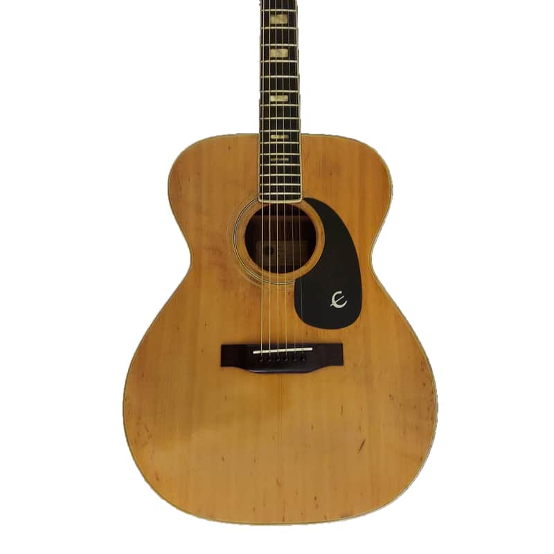 Epiphone FT-335 Troubabour image 1
