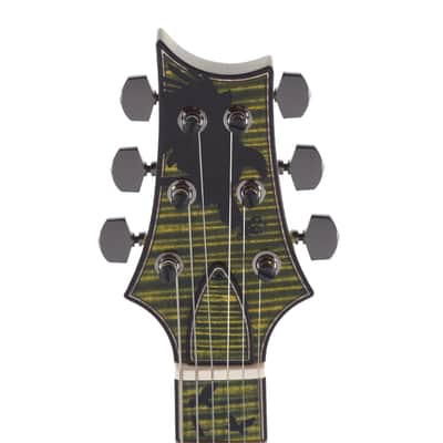 PRS Private Stock #11767 Paul's Guitar Curly Maple/African Mahogany Rainforest Glow w/Stained Neck/Fingerboard & Birds of a Feather Inlay (Serial #0406986) image 6