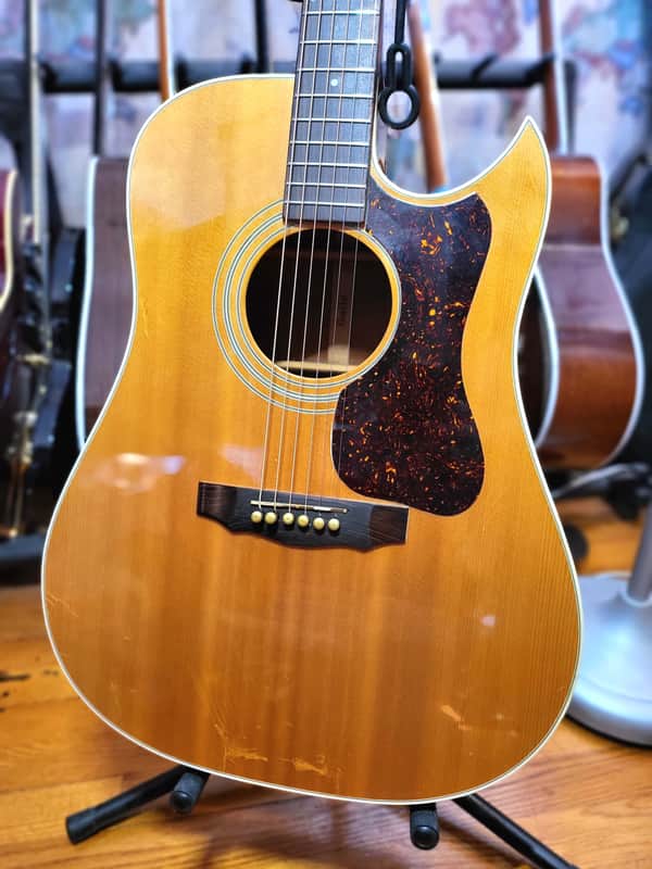 GUILD D-40 with Florentine Cutaway 1978 image 1