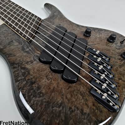 Dingwall Z3 6-String Bass Maple Burl Passive 6-Way Rotary 9.42lbs #6673 image 11