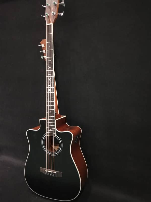 4 Strings Bass /6 Strings Acoustic/Electric, with Drums/Reverb/Effects, Busuyi Double Sided Super Guitar image 1