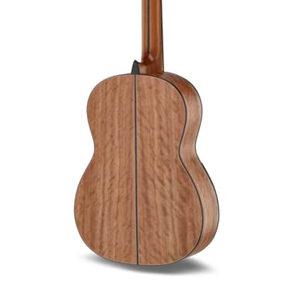 Manuel Rodriguez Tesoro de Camerún Limited Edition Solid Cedar Top & Cedar Neck 6-String Classical Acoustic Guitar w/Hard Case & Footrest image 4