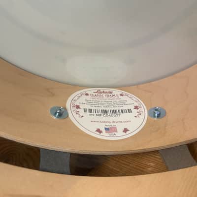 Ludwig Slotted Coliseum Snare image 4