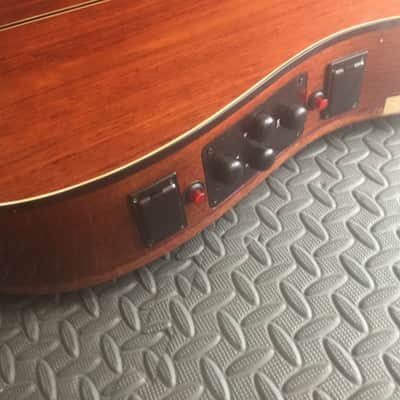 Extraordinary Near Mint Virtuoso Custom Telesis Bespoke 20 String Electro-Acoustic Harp Guitar image 20