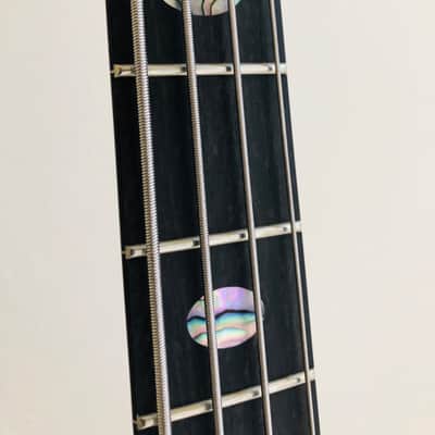 Alembic Alembic Darling Bass Flame Wallnut image 6