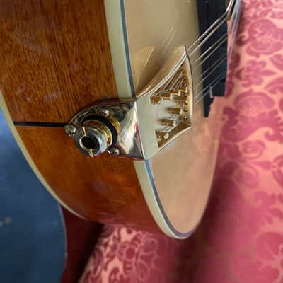 Gold Tone Octave Mandolin / OM-800+ / Hardcase Included / Pickup Installed / Excellent Cond image 6
