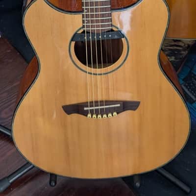 Wechter Pathmaker 3135 Acoustic Electric Guitar image 1